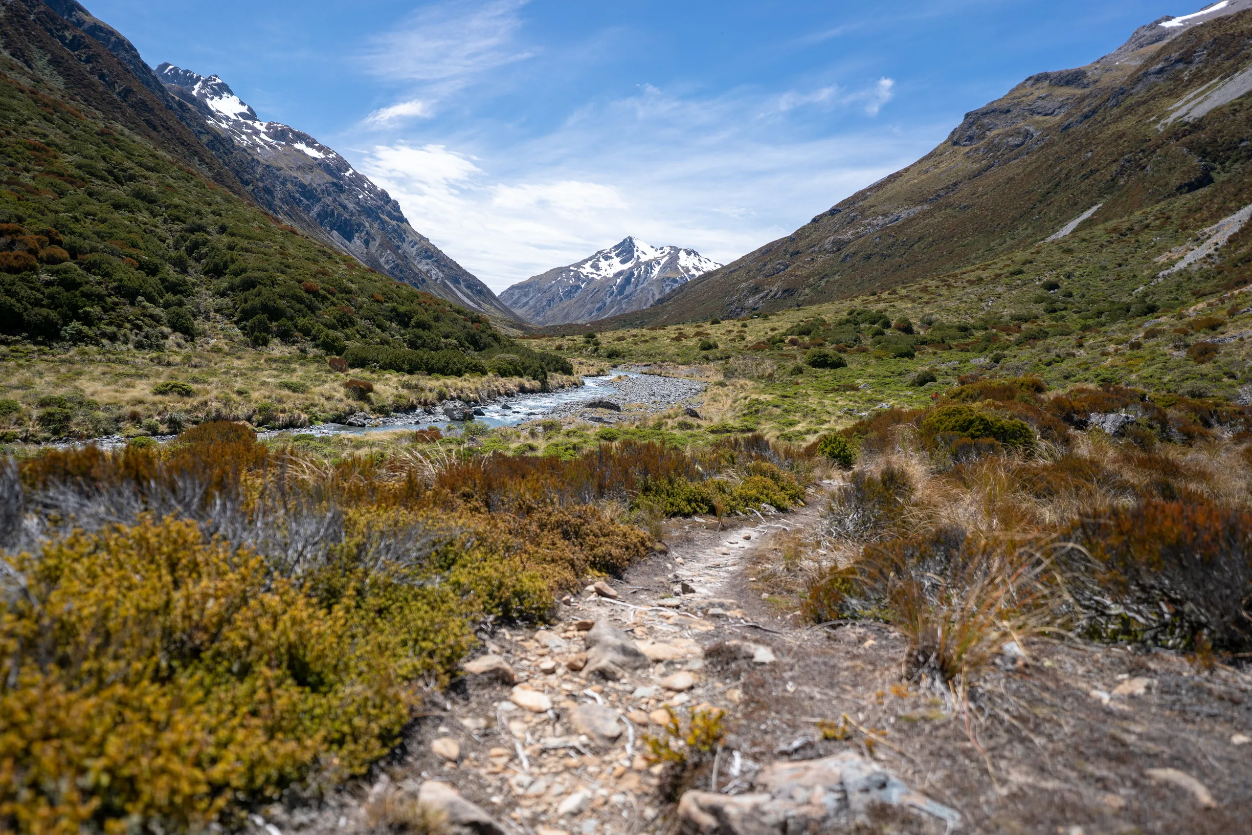 Attractive scrub in the upper Edwards Valley beyond Edwards Hut