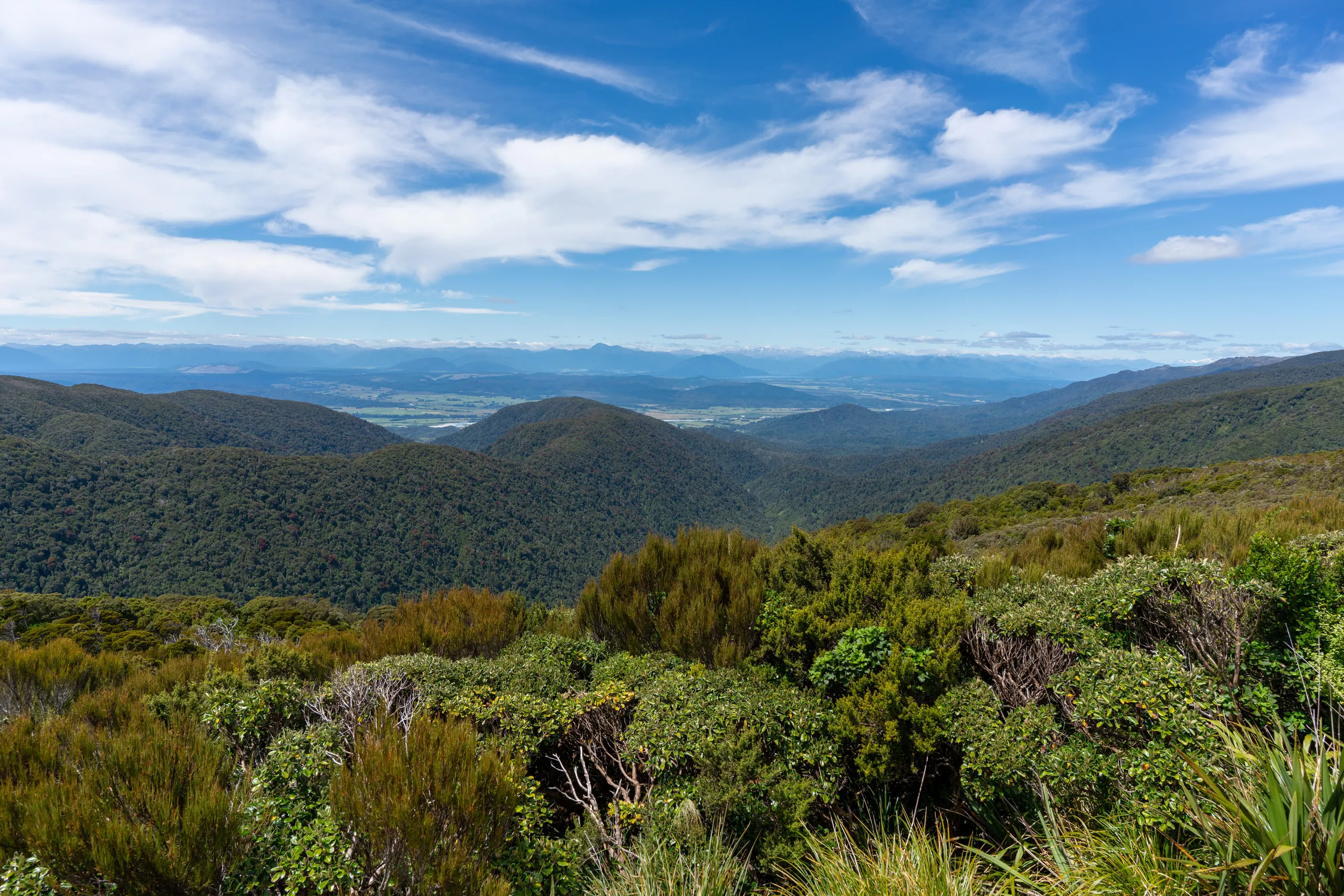 View over the bushline