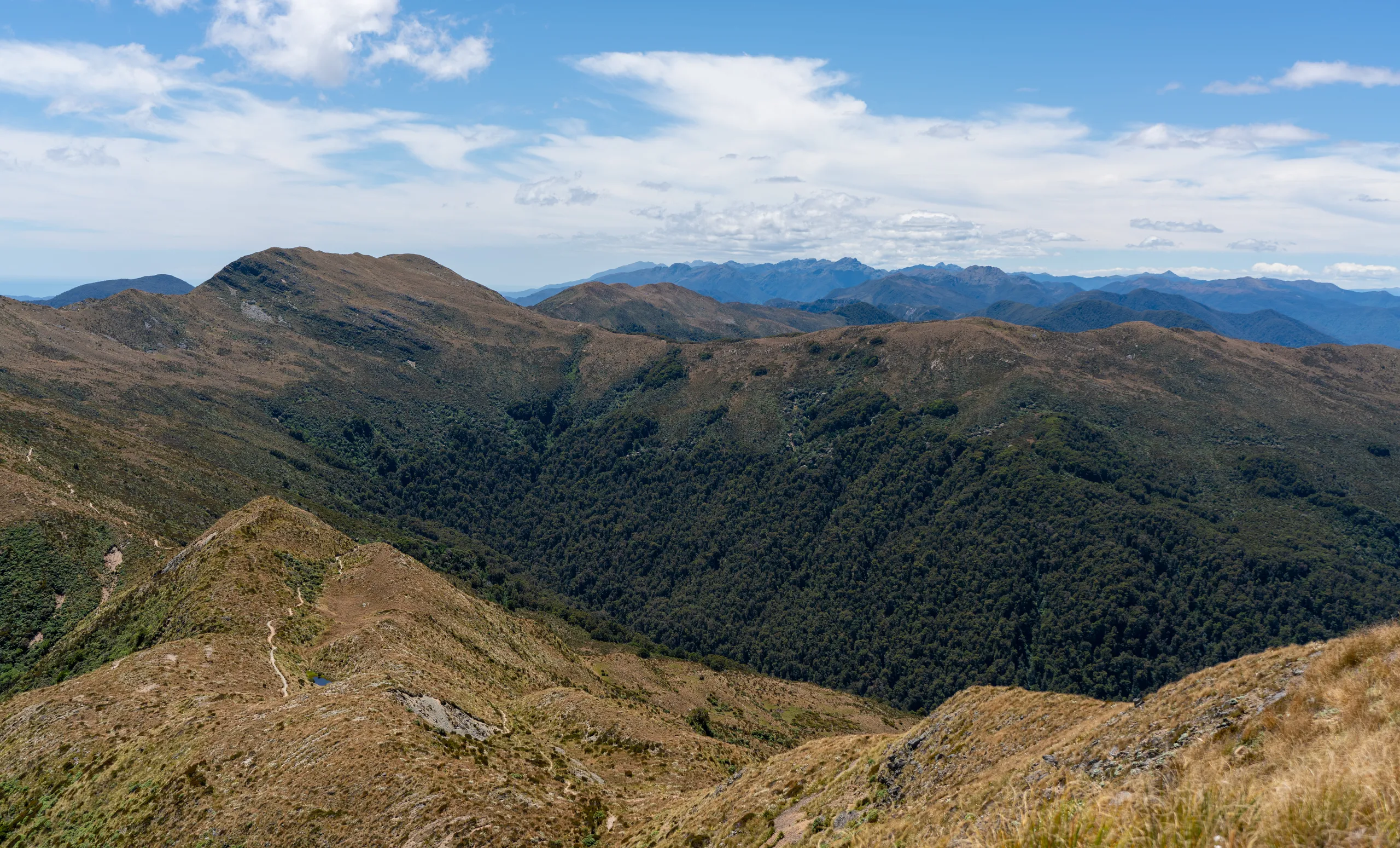 Looking north towards the rest of the Paparoa track