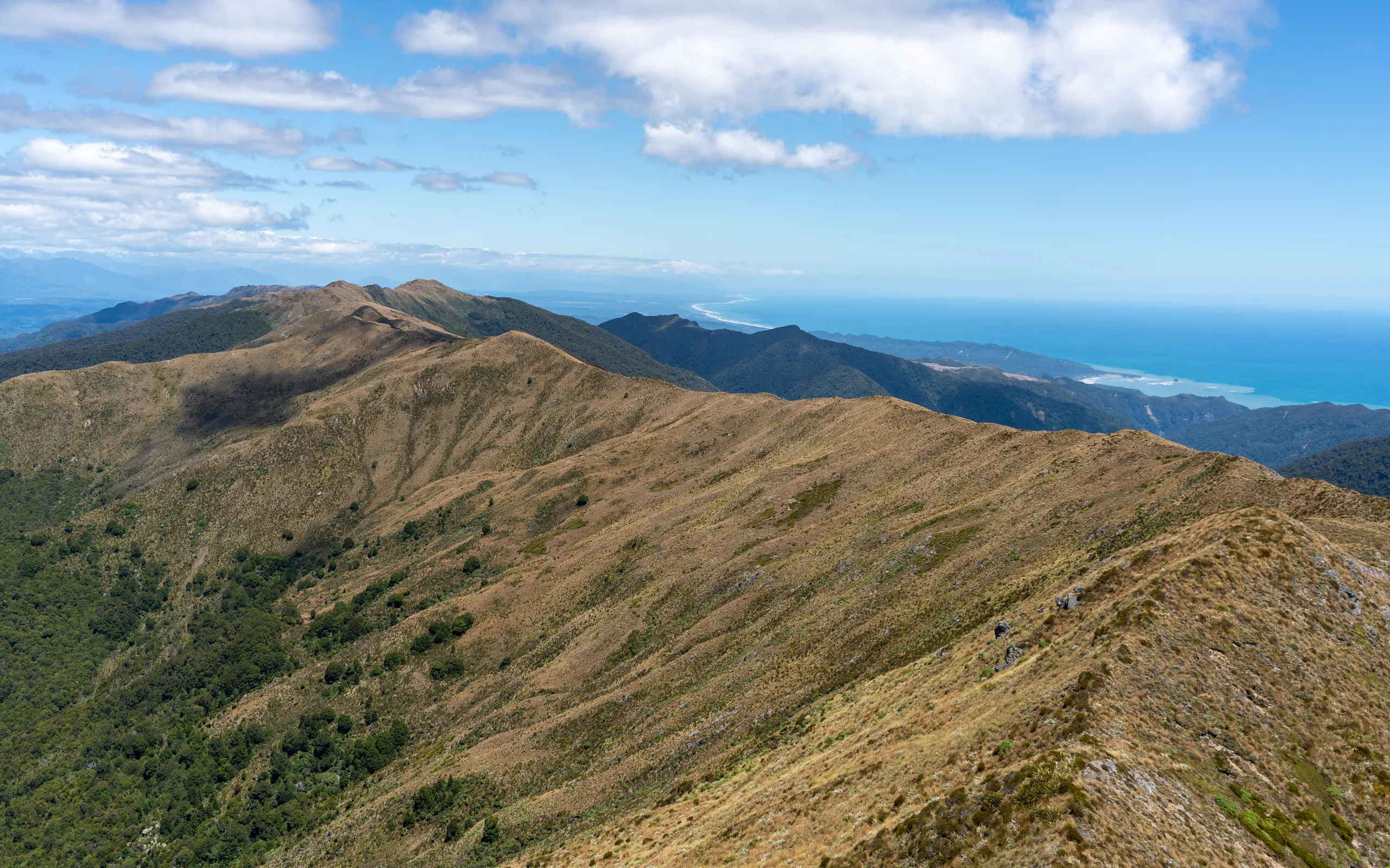 View from Croesus Knob summit looking south along the West Coast