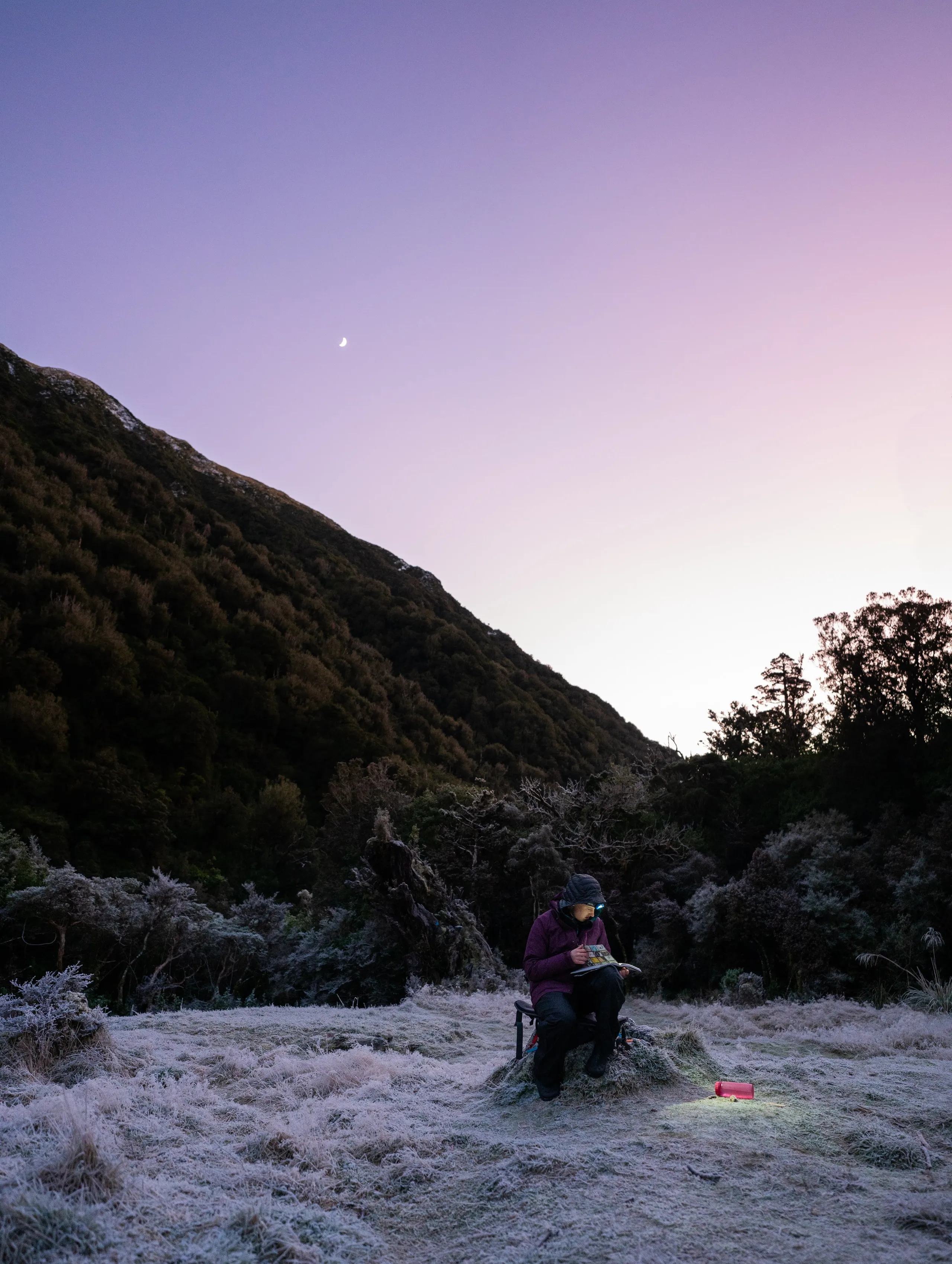 Reading in the dawn light