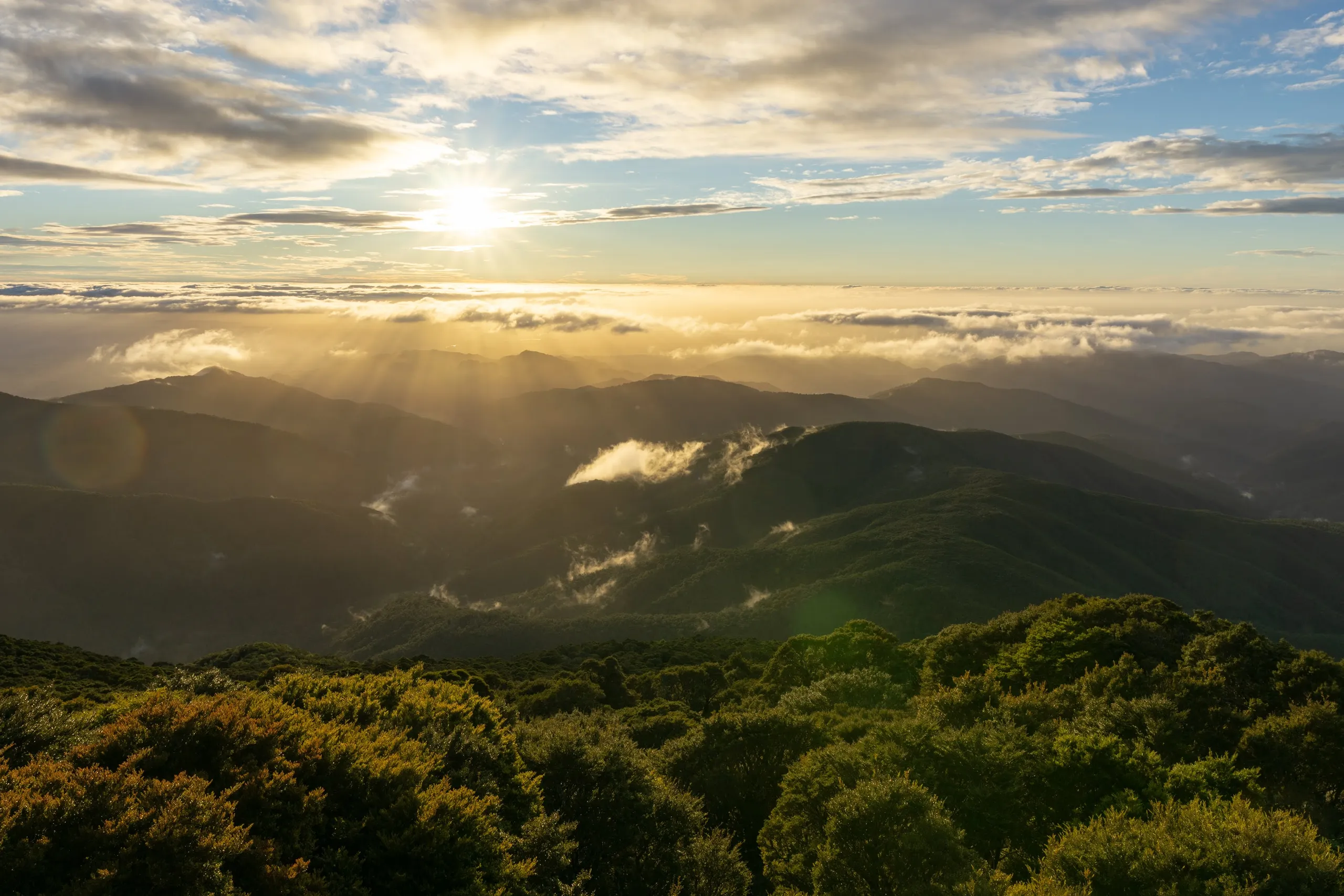 The early sunrise was hard to photograph. Here's the view a bit later in the morning.