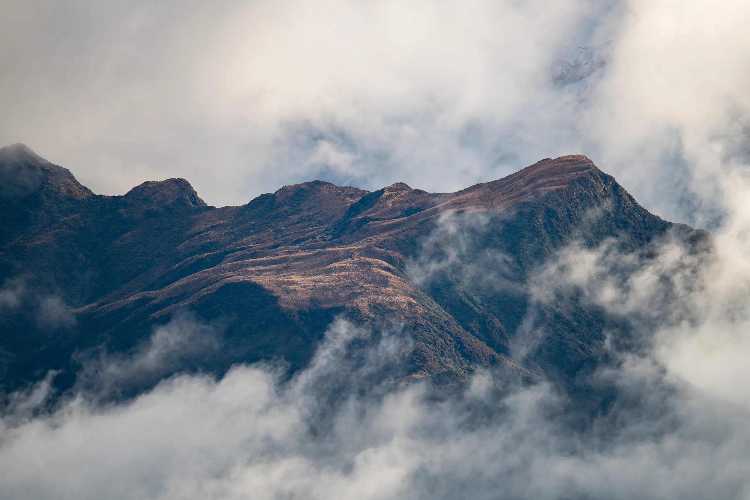 Distant hillside, likely Sam Knob in in Toaroha Range, viewed from Mt Brown