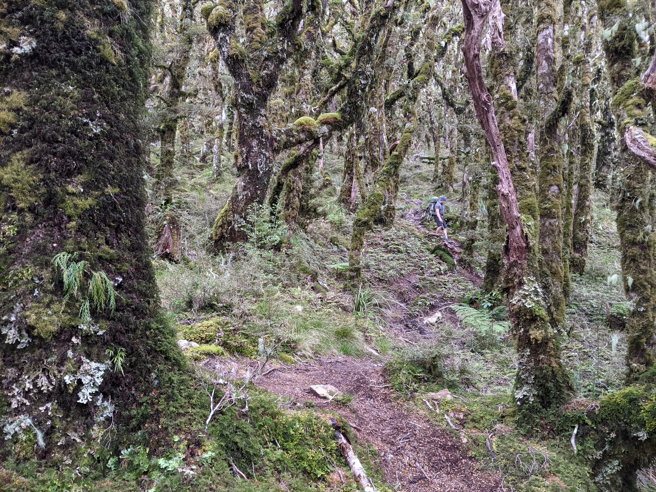 Descending Raingauge Spur