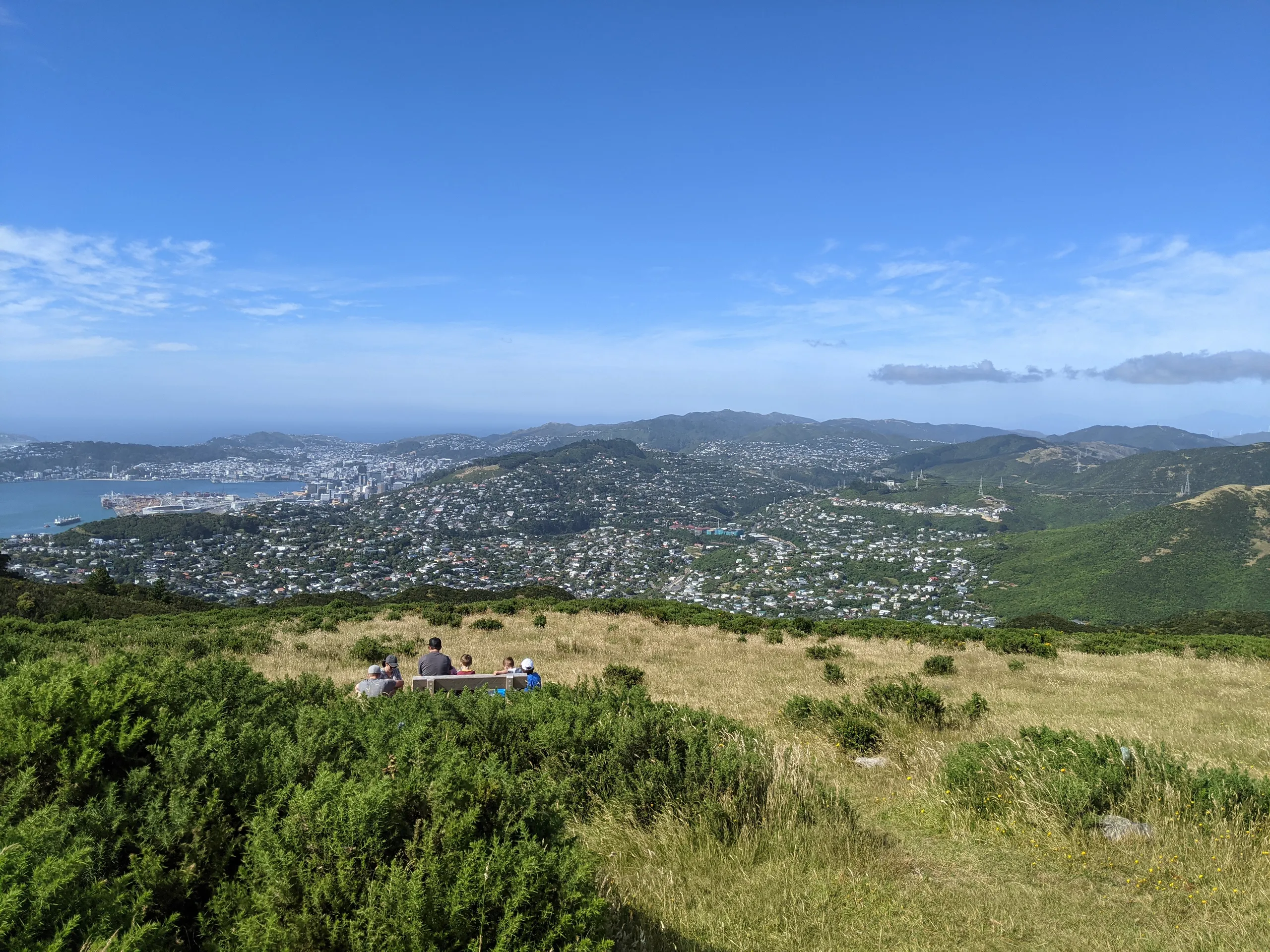 Mt Kaukau / Tarikākā summit