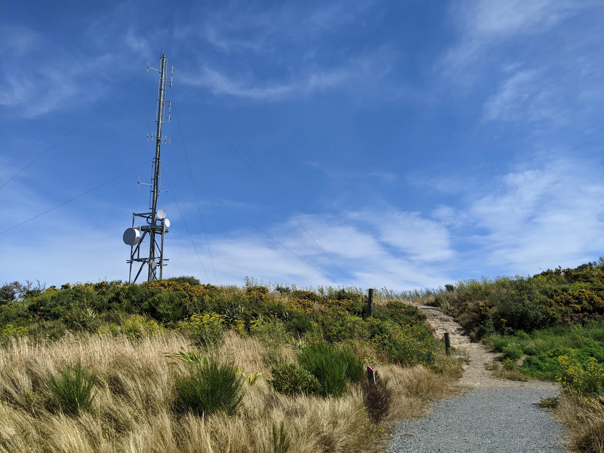 Mt Albert summit