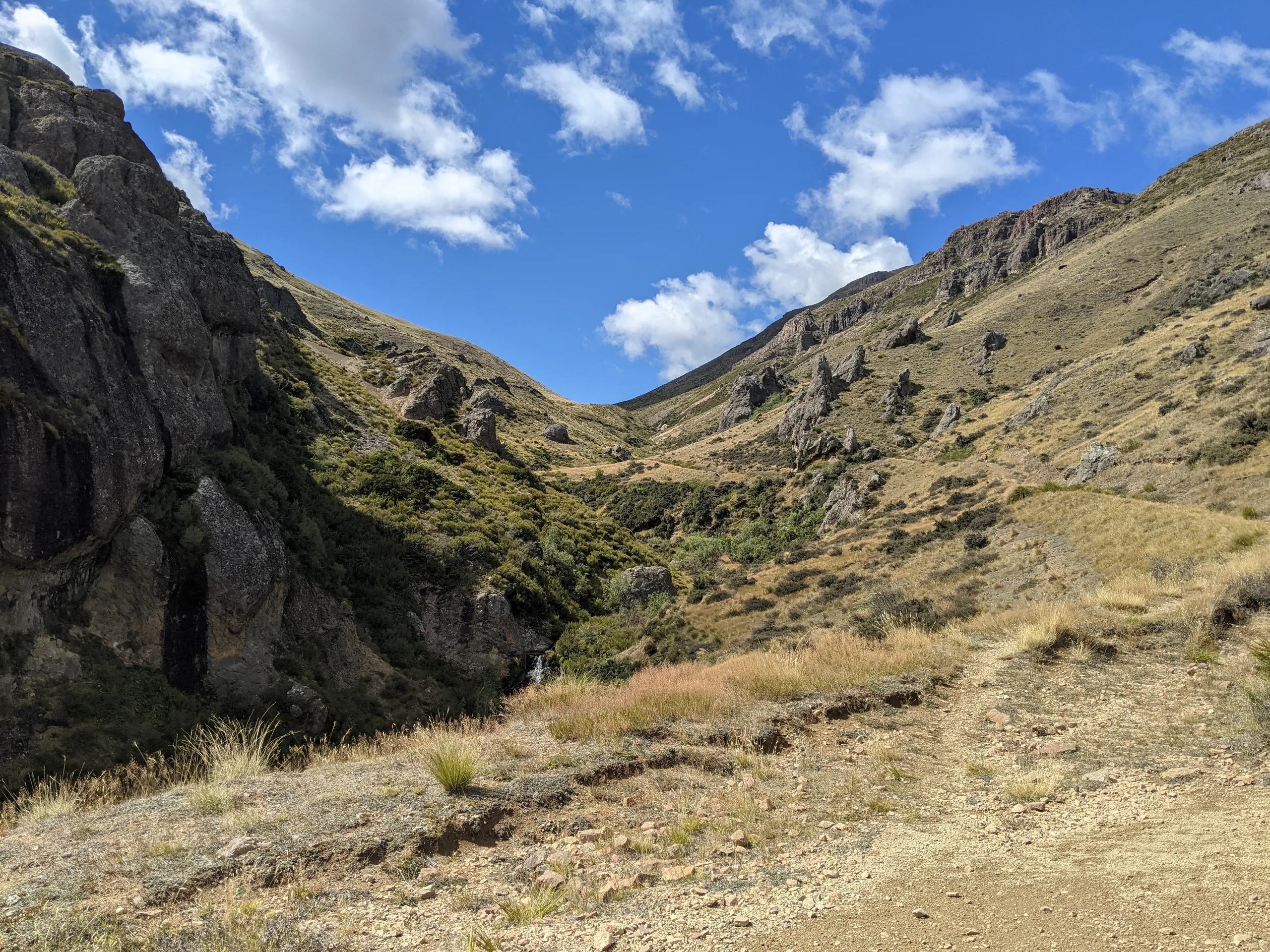 A steady uphill slog after Woolshed Creek Hut takes you to a saddle north of the mountain