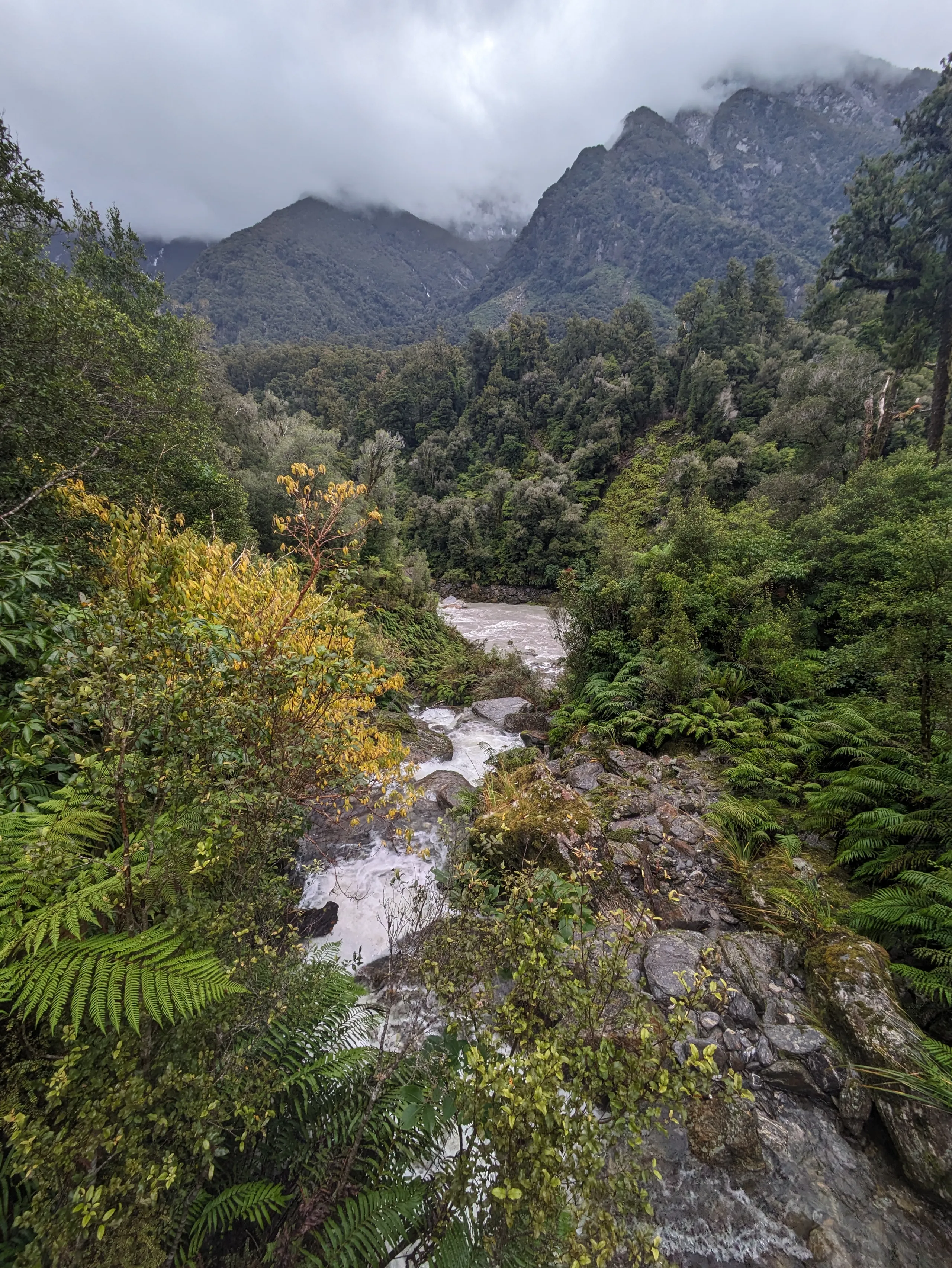 A swollen side creek rushes to join the Copland River below