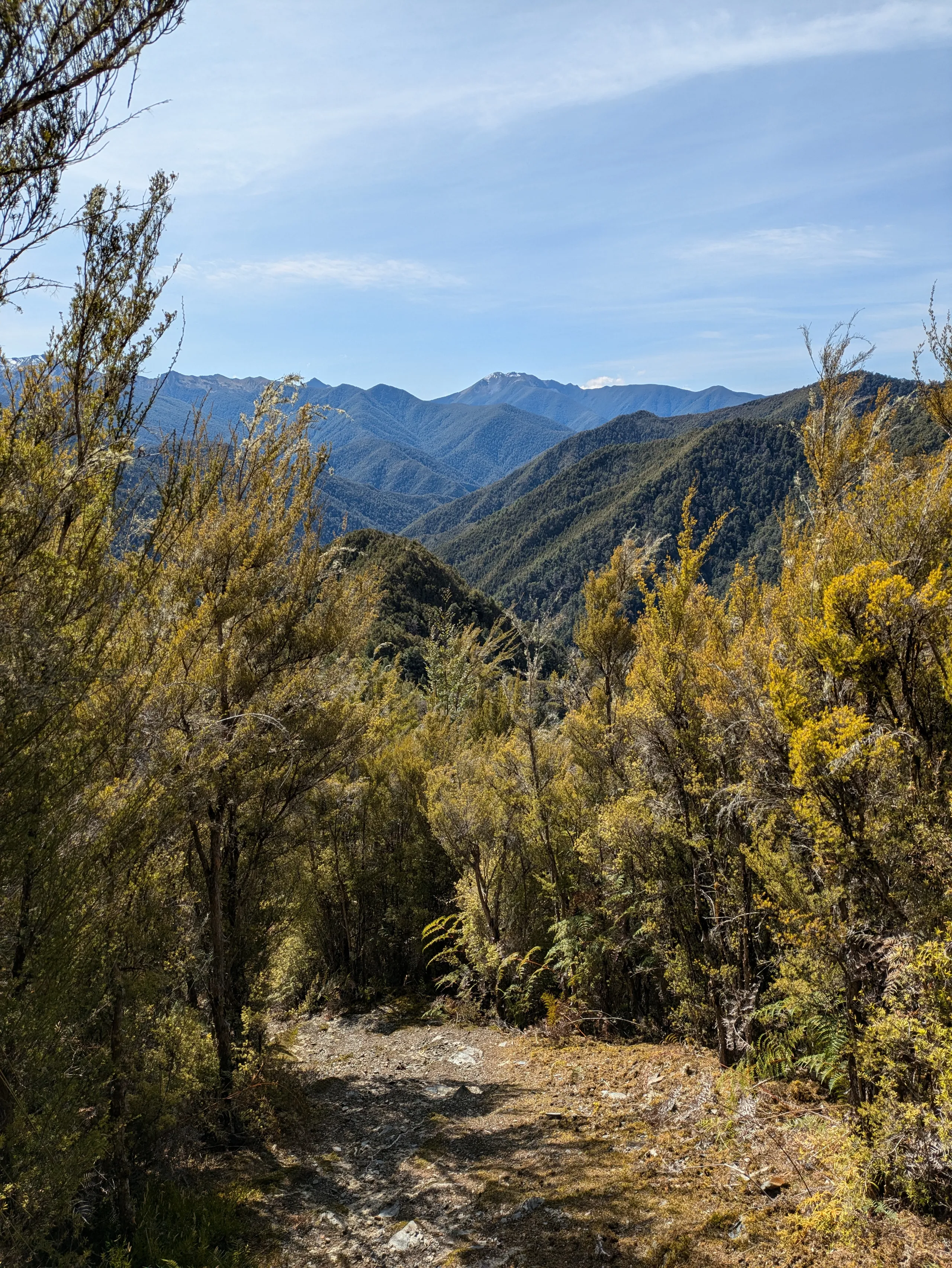 Bush-covered hills as far as the eye can see as the spur rises