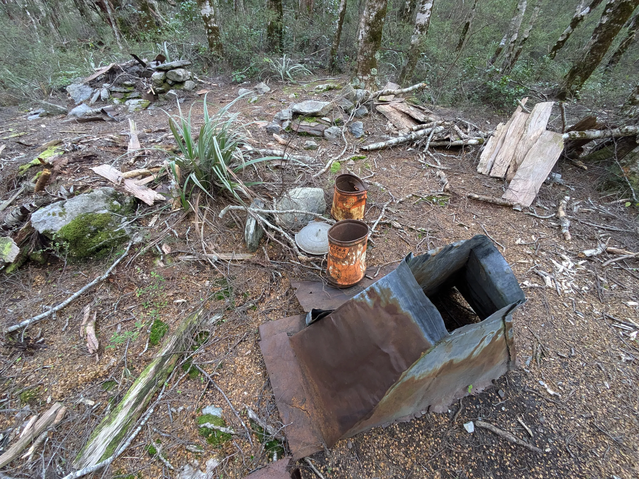 The remains of the "Old propectors hut" marked on Topo50