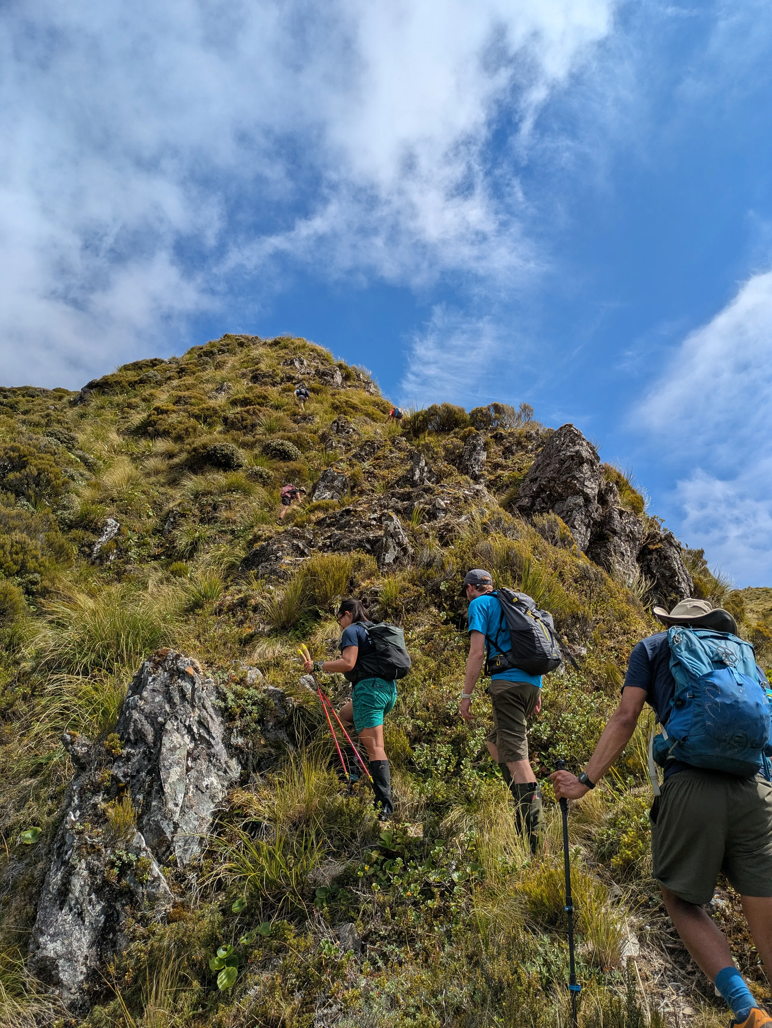 The track above Goat Creek climbs steeply to the tops above the bushline